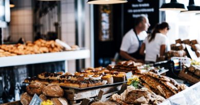 Business Owners Insurance